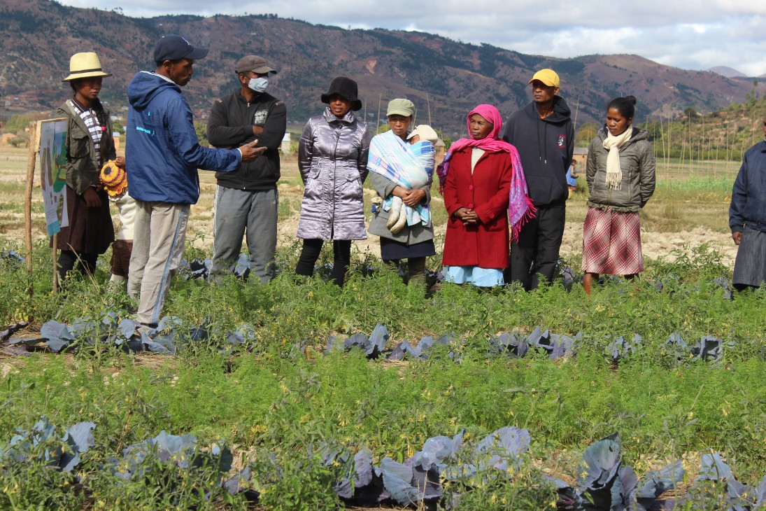 Paysan-relai du réseau FIFATA qui fournit des conseils techniques en agroécologie aux producteurs de Manandona, Madagascar © FIFATA